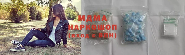 шишки Аркадак