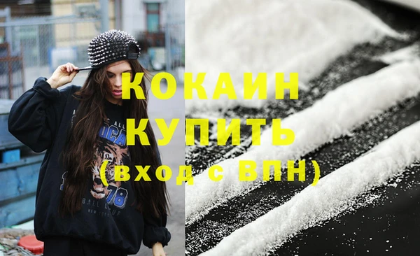 шишки Аркадак