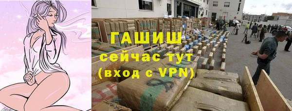 шишки Аркадак