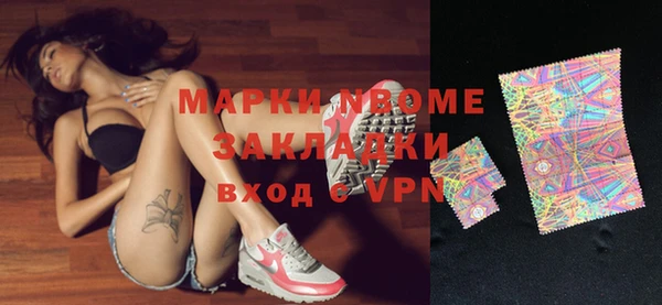 шишки Аркадак
