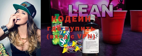 шишки Аркадак