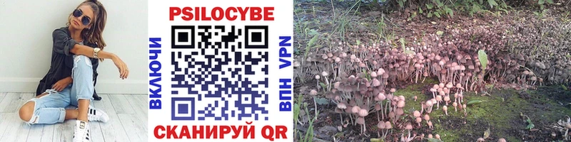 Псилоцибиновые грибы ЛСД  Туринск 
